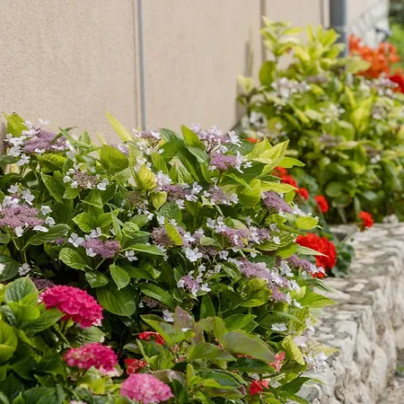 Apartman Dokovic Barbat na Rabu