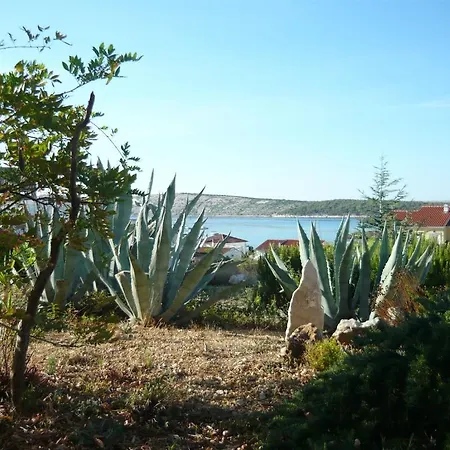 Dokovic Apartman Barbat na Rabu